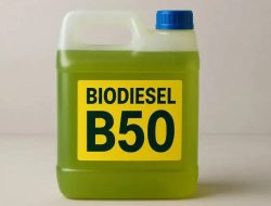 Pemerintah Uji Coba Penggunaan Bahan Bakar Biodiesel B50 di Semua Sektor