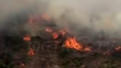 Kebakaran Lahan di Nagan Raya Semakin Meluas, Total Mencapai Sekitar 70 Hektar
