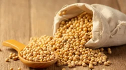 Harga Kedelai Merangkak Naik, Farhan Minta Pengrajin Tahu Tempe Tetap Produksi