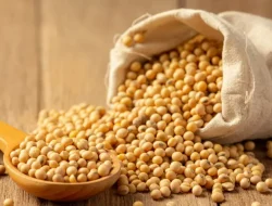 Harga Kedelai Merangkak Naik, Farhan Minta Pengrajin Tahu Tempe Tetap Produksi