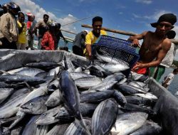 Potensi Laut Sulawesi Utara Bisa Jadi Penggerak Ekonomi Baru