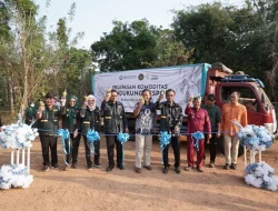 Holding UMKM Perkebunan Perkuat Rantai Nilai Lada Putih Muntok