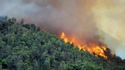 Kendalikan Karhutla di Kalimantan, BNPB Perkuat OMC dan Armada Pemadaman