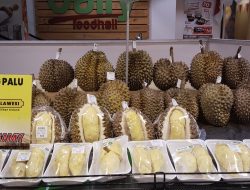 Gubernur Anwar Hafid Dorong Sulteng Jadi Raja Durian Dunia