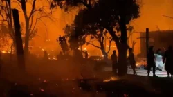 Diduga Akibat Konsleting Listrik, Desa Adat Sabe, Lombok Tengah Habis Dilalap Api Ratusan Rumah Warga Hangus