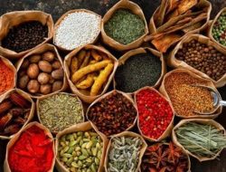 Industri Agro Siap Tembus Pasar Global