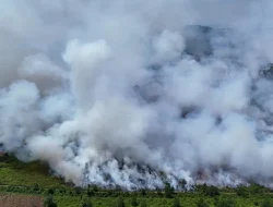 Kalimantan Sudah Seperti Setengah ‘Neraka’, Legislator: Pemerintah Harus Segera Tetapkan Karhutla Sebagai Bencana Nasional