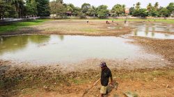 Kemarau Panjang, Danau Cinere Mengering, Dasar Waduk Berubah Jadi Lapangan Retak