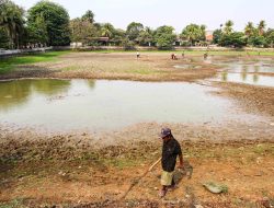 Kemarau Panjang, Danau Cinere Mengering, Dasar Waduk Berubah Jadi Lapangan Retak