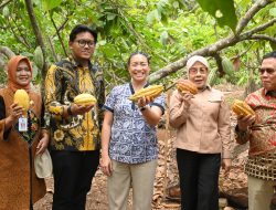 Desa Wisata Nglanggeran, Gunungkidul, Yogyakarta Tembus Panggung Pariwisata Dunia