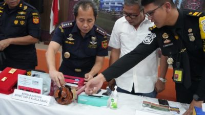 BC Kualanamu gagalkan penyelundupan 1,5 kg emas senilai Rp 3,9 M
