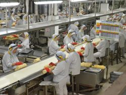 Industri Pangan Indonesia Bidik Posisi di Rantai Nilai Global