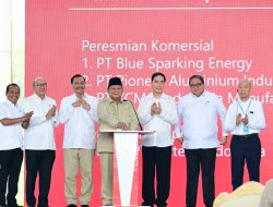 Ekspansi Industri Indonesia Timur: Investasi Rp180 Triliun di IWIP Siap Serap Ribuan Tenaga Kerja