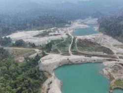 Satgas PKH Cabut Izin PT Kristalin Eka Lestari di Nabire, Papua Tengah