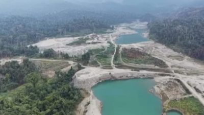 Satgas PKH Cabut Izin PT Kristalin Eka Lestari di Nabire, Papua Tengah