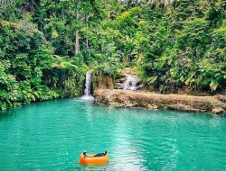 Wisata musim kemarau di Langkat: 6 destinasi alam untuk menikmati sungai dan hutan
