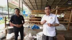 Ilham, Kembangkan Bisnis Peternakan Hingga Merambah Industri Pupuk