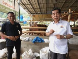 Ilham, Kembangkan Bisnis Peternakan Hingga Merambah Industri Pupuk