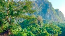 Wisata musim kemarau di Langkat: 6 destinasi alam untuk menikmati sungai dan hutan