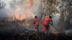Karhutla Makin Parah: Malaysia Serukan Aksi Kolektif ASEAN Protes Indonesia