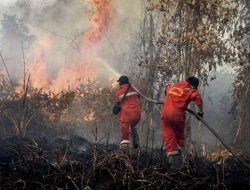 Karhutla Makin Parah: Malaysia Serukan Aksi Kolektif ASEAN Protes Indonesia