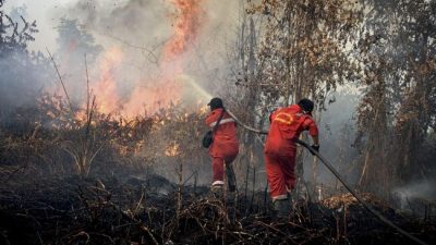 Karhutla Makin Parah: Malaysia Serukan Aksi Kolektif ASEAN Protes Indonesia