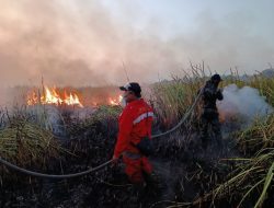 Karhutla Landa Kawasan Taman Nasional Way Kambas Berhasil Dipadamkan, Balai TNWK Pastikan Kandang Gajah Aman